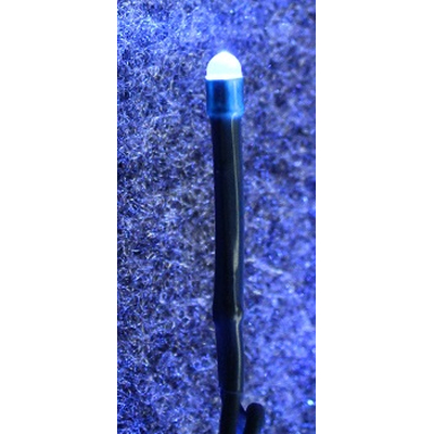 LED-Lichterkette mit  80 LEDs blau 230V