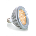 LED PAR 30 230V 12W 60 6000K silver